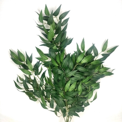 Green Trailing Ruscus Bush 75cm