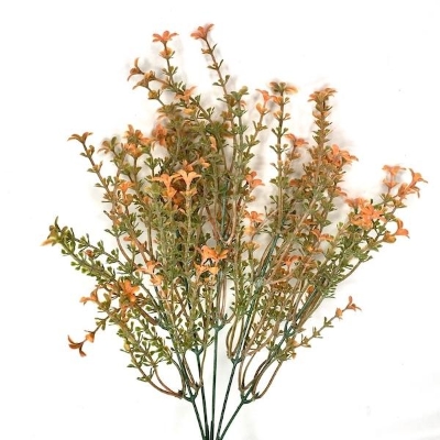 Orange Flowering Heather Bush 35cm