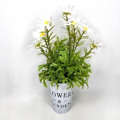 White Daisies in Tin Pot 27cm