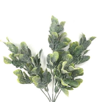 Green Frosted Bayleaf Bush 33cm