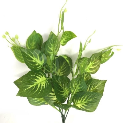 Green Dumb Cane Foliage 43cm