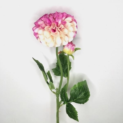 White-Pink Dahlia 59cm