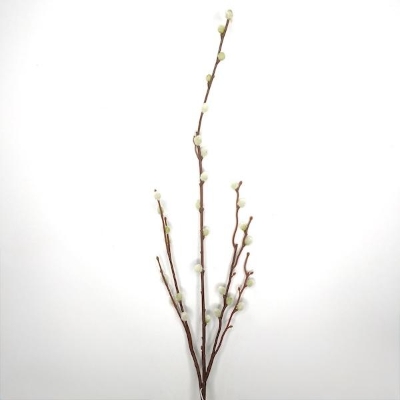 Pussy Willow 94cm