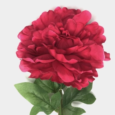 Fuchsia Peony 75cm