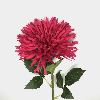 Fuchsia Chrysanthemum 62cm