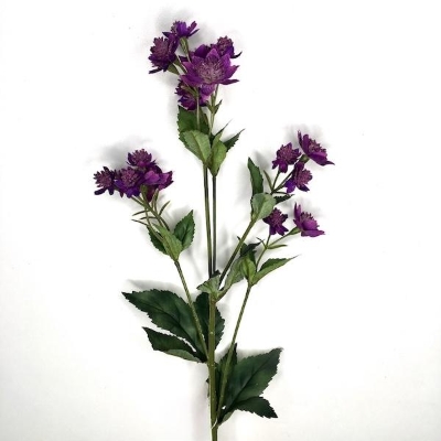 Purple Astrantia 69cm