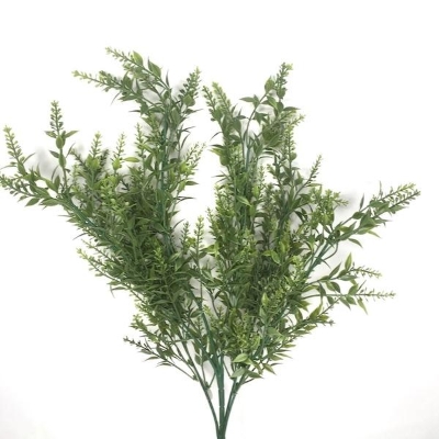 Green Mini Ruscus Bush 54cm