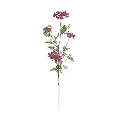 Cerise Queen Annes Lace 96cm
