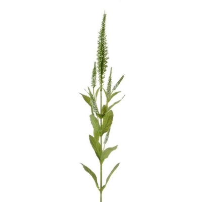 Ivory Veronica Spray 72cm