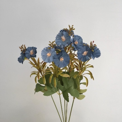 Blue Mini Dianthus Bush 37cm