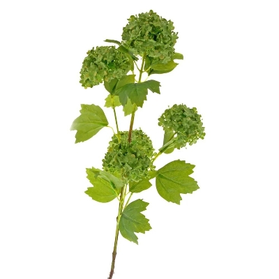 Green Viburnum 96cm