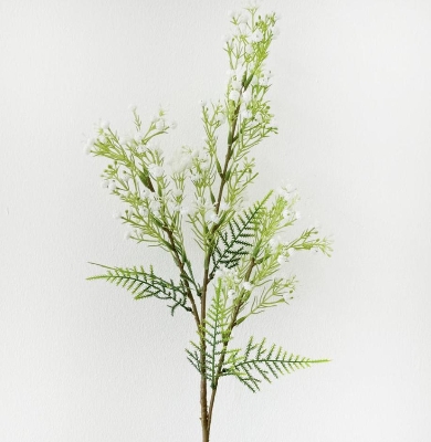 Gyp & Fern 70cm