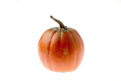 Small Orange Appalachian Pumpkin 19cm