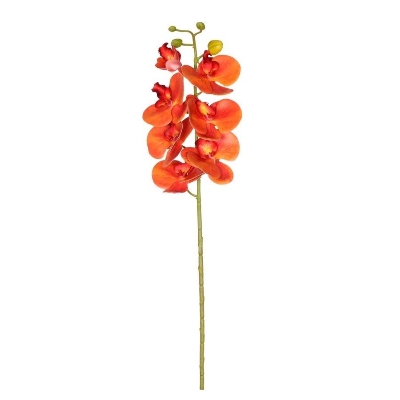 Sunset Phalaenopsis Orchid 72cm