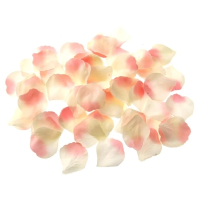 Pink Rose Petals x 1000