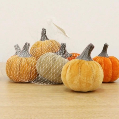 Mixed Pumpkin x 6 