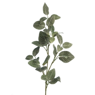 Fittonia Spray 67cm