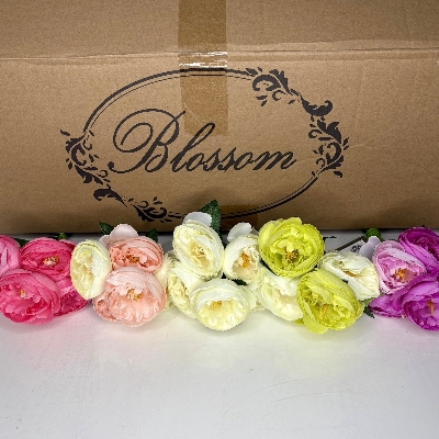 48 x Classic Peony Bundle