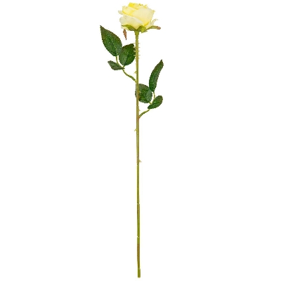 Yellow Gabriella Rose 53cm