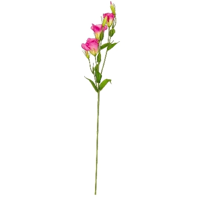 Cerise Lisianthus 78cm