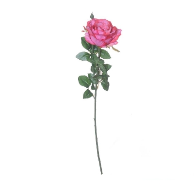 Fuchsia Ireland Rose 66cm