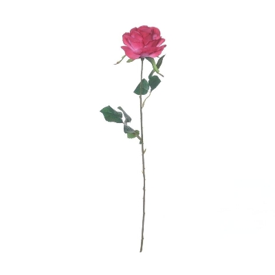 Fuchsia Rose 62cm