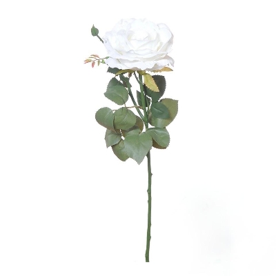 White Ireland Rose 66cm