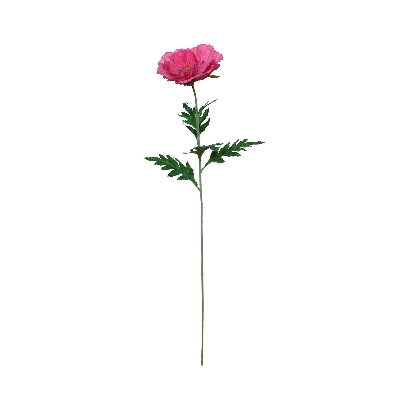 Pink Poppy 71cm