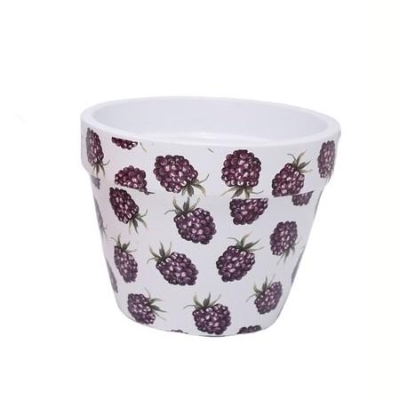 Purple Fruit Pot 12cm