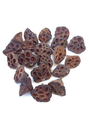 Lotus Heads Small 4cm to 6cm