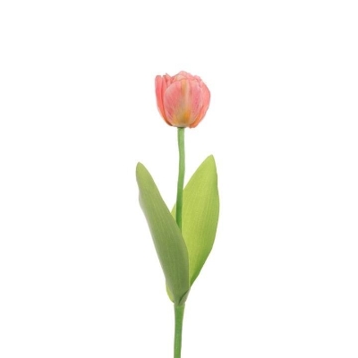 Peach Pink Tulip 51cm