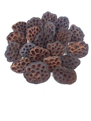 Lotus Heads Large 8cm to 10cm
