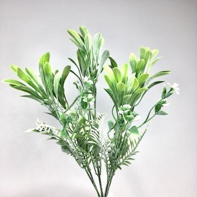 Green Grey Foliage Bush 33cm No1