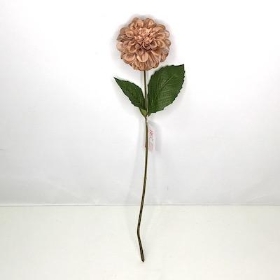 Caramel Zinnia 44cm