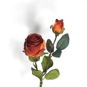 Russet Dried Rosebud 51cm