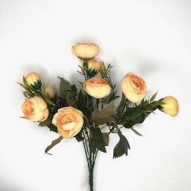 Pale Orange Ranunculus Bush 30cm