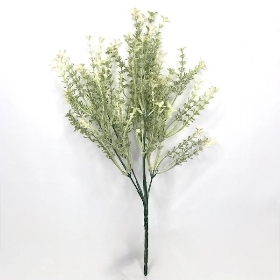 White Flowering Heather Bush 35cm