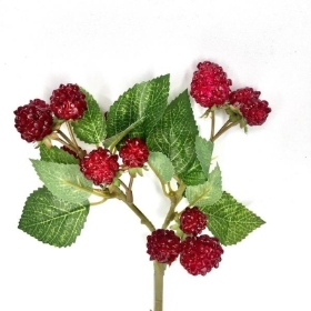 Red Raspberry 38cm