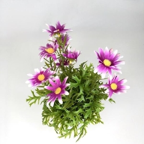 Pink Daisies in Tin Pot 27cm