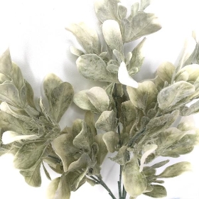 White Frosted Bayleaf Bush 33cm
