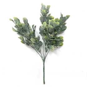 Green Frosted Bayleaf Bush 33cm