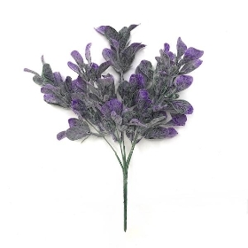 Lilac Frosted Bayleaf Bush 33cm