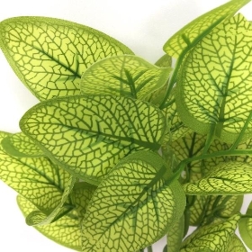 Green White Ash Foliage 34cm
