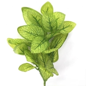 Green White Ash Foliage 30cm