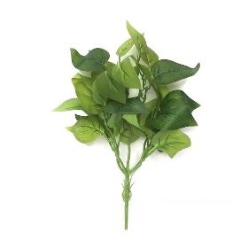 Green Golden Pothos Foliage 36cm