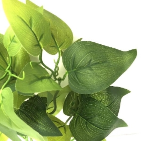 Green Golden Pothos Foliage 36cm