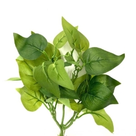 Green Golden Pothos Foliage 36cm