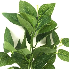 Green Honey Vine Foliage 36cm