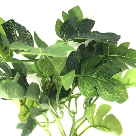 Green Monstera Foliage 34cm
