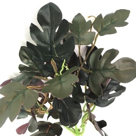 Burgundy & Dark Green Mostera Foliage 35cm
